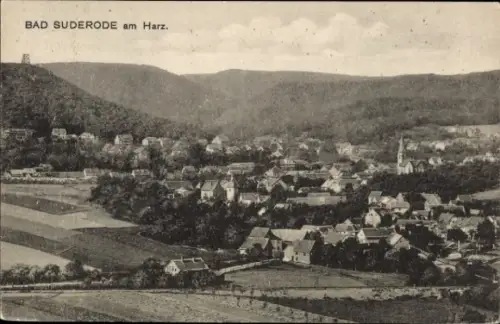 Ak Bad Suderode Quedlinburg im Harz, Gesamtansicht