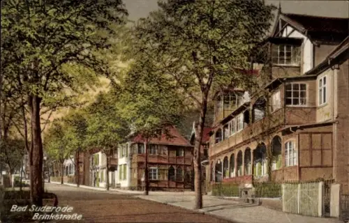 Ak Bad Suderode Quedlinburg im Harz, Straße mit Wohnhäusern, Bäume,  Architektur