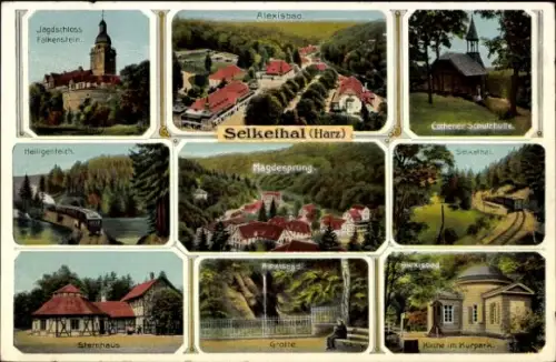 Ak Alexisbad Harzgerode am Harz, Jagdschloss Falkenstein, Cöthener Schutzhütte, Mägdesprung, Grotte