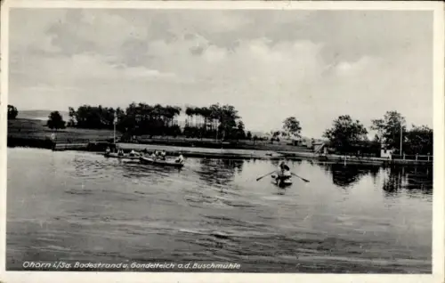 Ak Ohorn in Sachsen, Ruderer auf Wasser, Uferlandschaft, Gondelteich, Buschmühle