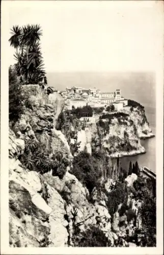 Ak Monaco,  Blick vom zoologischen Garten, Felsen, Küste