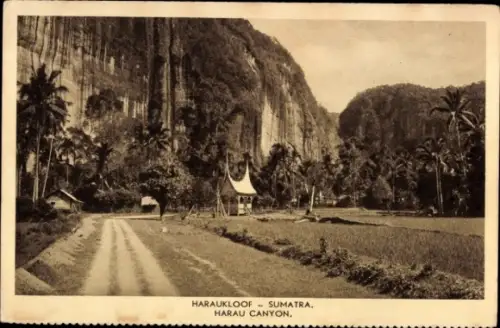 Ak Sumatra Indonesien, Harauklouf, Sumatra, Harau Canyon, Landschaft mit Palmen, Straße