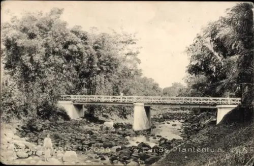 Ak Buitenzorg Bogor Java Indonesien, 's Lands Planentuin