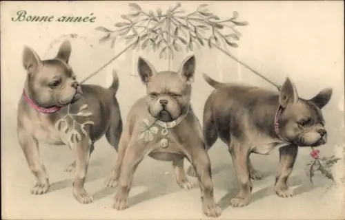 Ak Glückwunsch Neujahr, Hunde, Mistelzweige