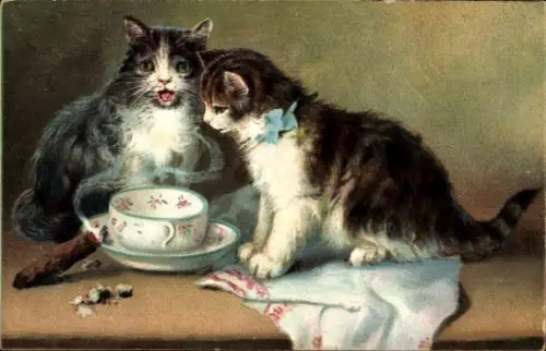 Ak Zwei Katzen, Tasse, Zigarre