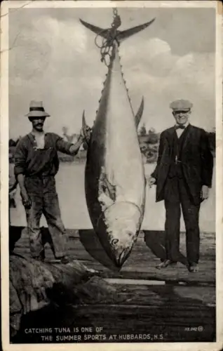 PC Hubbards Nova Scotia, Catching Tuna