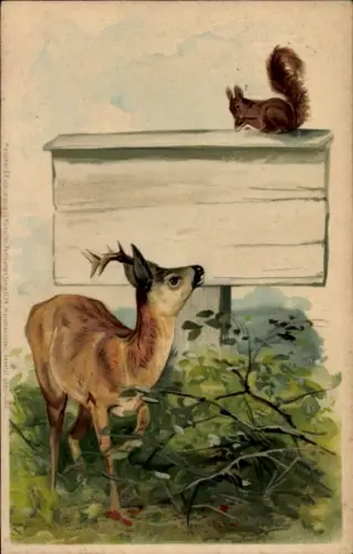 Litho Junger Hirsch und Eichhörnchen