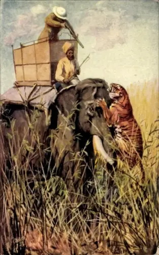 Künstler Ak Fischer, Tiger Hunting