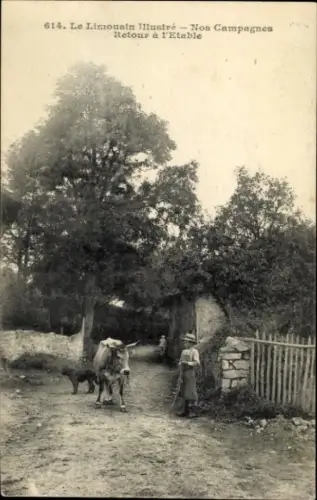 CPA Limousin, Nos Campagnes, Retour a l'Etable