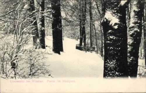 Ak Chemnitz in Sachsen, Chemnitz im Winter, Stadtpark, Schneelandschaft