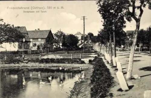 Ak Friedrichsbrunn Thale im Harz, Dorfstraße mit Teich, 580 m ü. M.,  Architektur