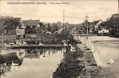 Ak Friedrichsbrunn Thale im Harz,  Dorfteich, Enten, Häuser, Straße
