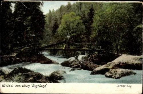 Ak Schleiz im Vogtland Thüringen, Brücke, Fluss, Wald, Loreley-Steg, Gruß aus dem Vogtland