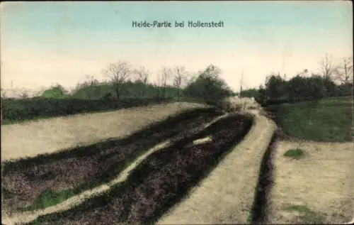 Ak Hollenstedt in Niedersachsen, Heide-Partie, Landschaft, Bäume, Weg