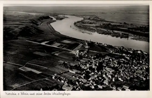 Ak Nierstein am Rhein, Luftaufnahme von Nierstein, Rhein, Weinberge