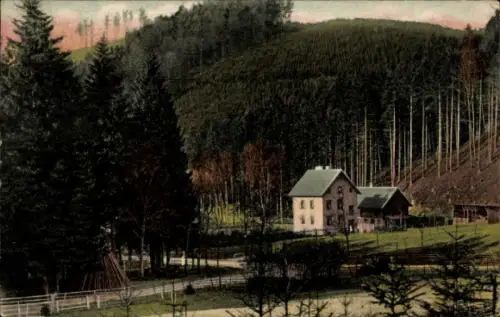 Ak Seesen in Niedersachsen, Forsthaus Neckelnberg