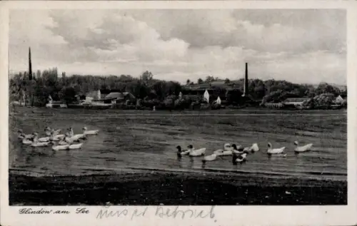Ak Glindow Werder an der Havel, Teilansicht, am See