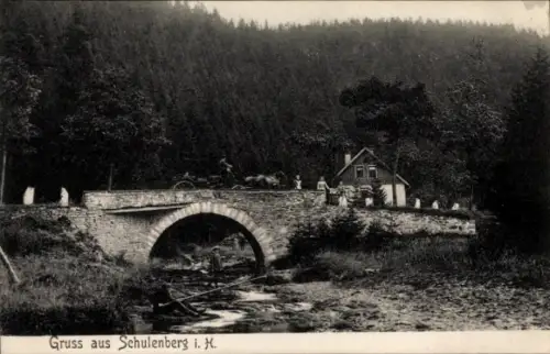 Ak Schulenberg Clausthal Zellerfeld im Oberharz, Brücke, Kutsche