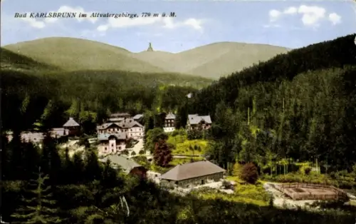 Ak Bad Karlsbrunn Karlova Studánka Mähr. Schlesien, Altvatergebirge, Ortschaft