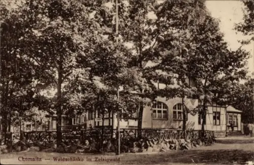 Ak Chemnitz in Sachsen,  Waldschänke im Zeisigwald, Bäume
