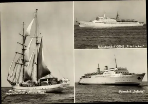 Ak Segelschulschiff Wilhelm Pieck, Urlauberschiff GTMS Fritz Heckert, Fährschiff Sassnitz