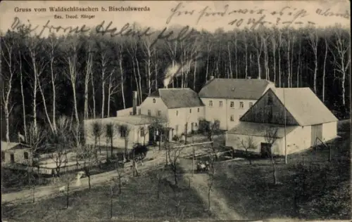 Ak Bischofswerda in Sachsen, Waldschlösschen, Gebäude, Wald, Rinder, Personen, 