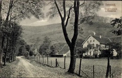 Ak Heidenoldendorf Detmold Nordrhein Westfalen,  Oberförsterei i. Heidental, Waldlandschaft, Weg,