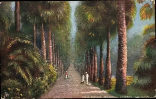 Ak Calcutta Kolkata Kalkutta Indien, Palm Avenue, Botanische Gärten,  Spaziergänger, Palmen