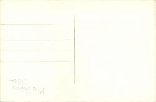 Foto Ak Miss Brasilien, Portrait im Kleid