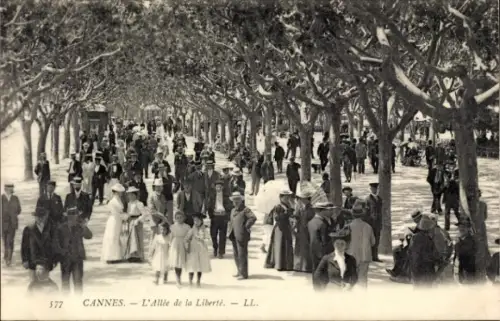 Ak Cannes Alpes Maritimes, L'Allée de la Liberté