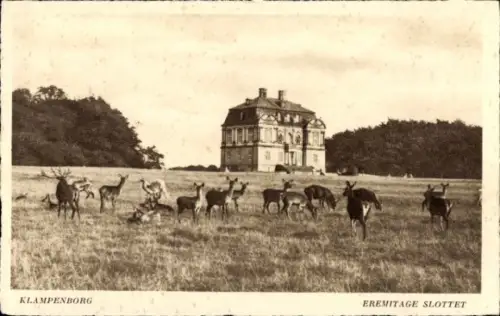 Ak Klampenborg Dänemark, Eremitage Slot, Wiese, Rehe, Architektur, Wald, Natur