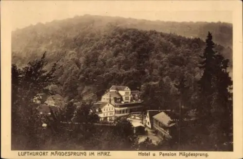 Ak Mägdesprung Harzgerode am Harz, Luftkurort Mägdesprung im Harz, Hotel und Pension, Landschaft