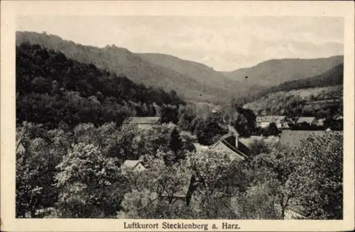 Ak Stecklenberg Thale im Harz, Gesamtansicht