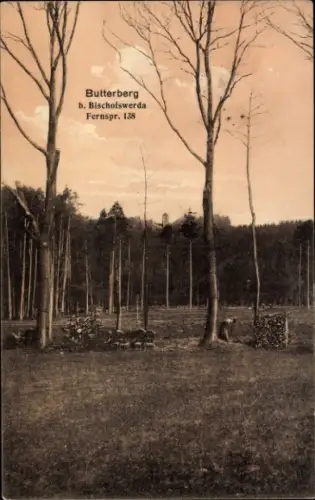 Ak Butterberg Bischofswerda in Sachsen, Landschaftsaufnahme, Baumreihe, Wiese, 