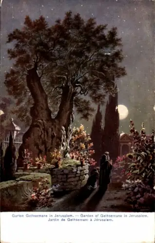 Ak Jerusalem Israel, Garten Gethsemane, Mondschein, blühende Pflanzen, skizzierte Figuren