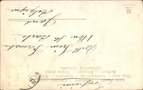 Ak Jerusalem Israel, Garten Gethsemane,  Nachtansicht, Vollmond, Blumen