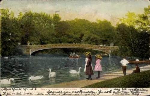 Ak New York City USA, Swan Pond, Central Park, Brücke, Boote, Schwäne, 1906
