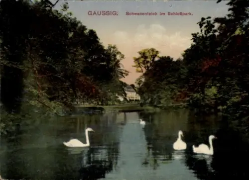 Ak Gaußig in der Oberlausitz, Schwanenteich im Schlosspark