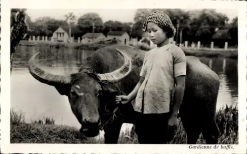 CPA Saïgon Cochinchine Vietnam, Gardienne de buffle