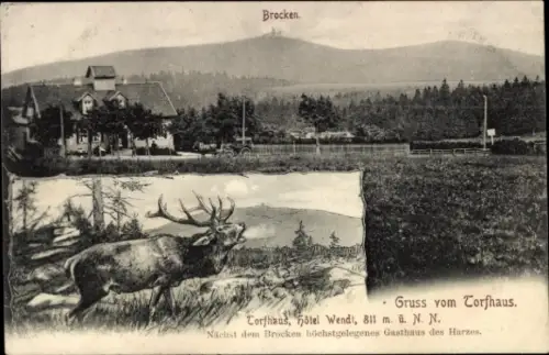 Ak Brocken im Harz,  Torfhaus, Hotel Wendt, Hirsch, Waldlandschaft