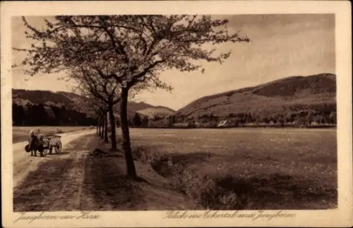 Ak Bad Harzburg am Harz, Jungborn, Landschaft mit Bäumen, Weg, Wiese, Berge im Hintergrund, 