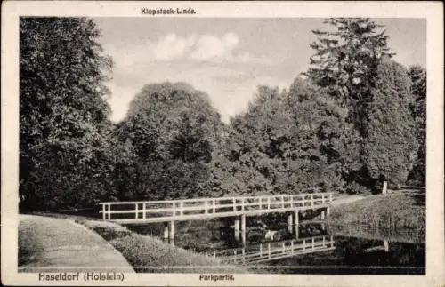 Ak Haseldorf in Holstein, Klopstock-Linde, Parkpartie