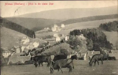 Ak Altenau Clausthal Zellerfeld im Oberharz,  Blick in die kleine Oker, Kühe auf der Wiese