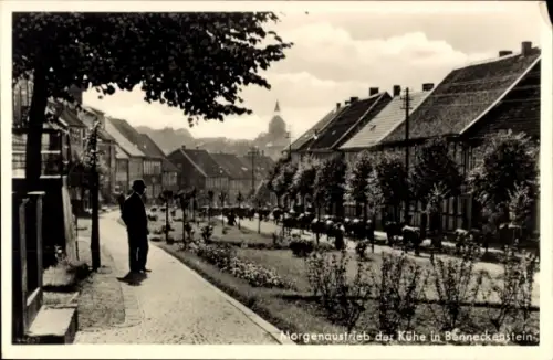 Ak Benneckenstein Oberharz, Morgenaustrieb der Kühe, ländliche Szene, Bäume, Häuser