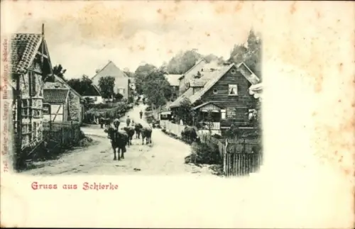 Ak Schierke Wernigerode im Harz, Landschaft mit Kühen, Häusern, Straße, Text 'Gruss aus Schierke'