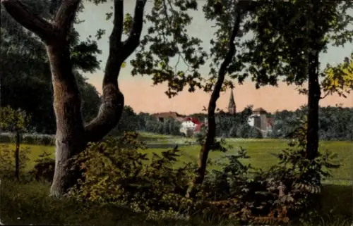 Ak Bad Fallingbostel Lüneburger Heide, Blick auf Wiesen, Bäume, Kirche, Häuser, Landschaft