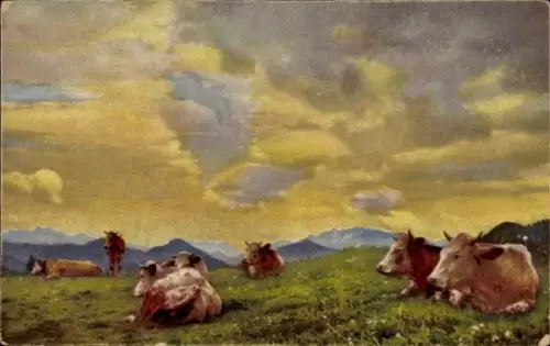 Ak Landschaft, Kühe