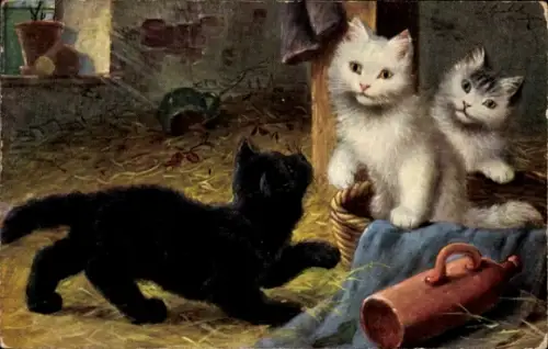 Künstler Ak Drei Katzen, Tierportrait