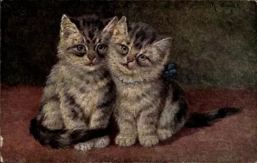 Künstler Ak Stocks, zwei Katzen