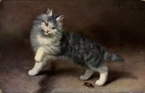 Künstler Ak Katze, Tierportrait, Käfer